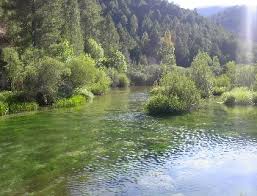 Curso medio del río Tajo.